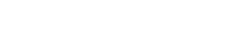 The Soles Store